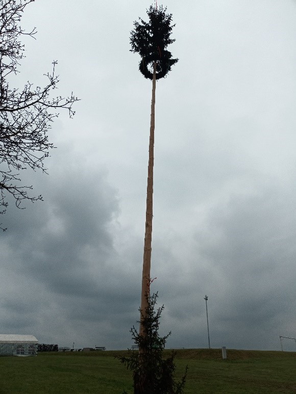 Maibaum